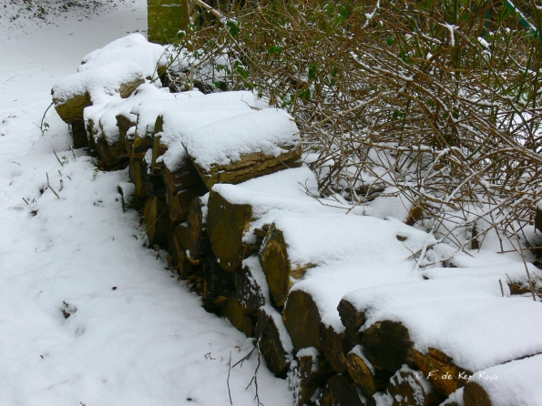 Bois des Moutiers Winterreise (17)